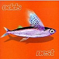 The Odds - Nest album