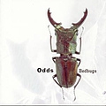 The Odds - Bedbugs альбом