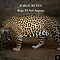 Jorge Reyes - Bajo El Sol Jaguar альбом