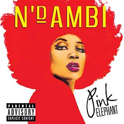 N&#039;Dambi - Pink Elephant album