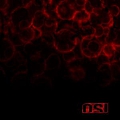 O.S.I. - Blood альбом
