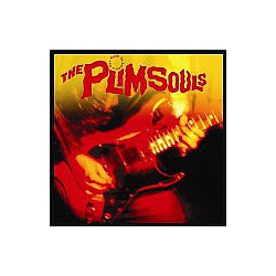 Plimsouls - One Night In America album