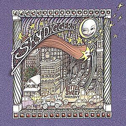Skydiggers - Bittersweet Harmony альбом