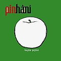 Pinhani - BaÅka Åeyler альбом