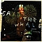 Said The Whale - Howe Sounds / Taking Abalonia album