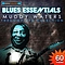 Muddy Waters - Blues Essentials - Muddy Waters The Complete Collection (Digitally Remastered) альбом