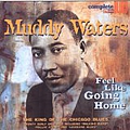 Muddy Waters - Feel Like Going Home album