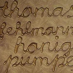 Thomas Fehlmann - Honigpumpe album