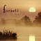 Sonnentau - Forseti Lebt album