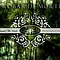 Trobar de Morte - Beyond the Woods: The Acoustic Songs album