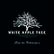 White Apple Tree - Taste The Celebration EP альбом