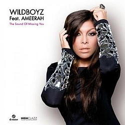 Wildboyz - The Sound of Missing You album