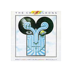 The Chameleons - What Does Anything Mean? Basically album