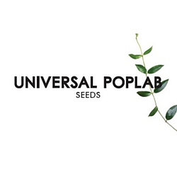 Universal Poplab - Seeds альбом