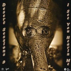 The Desert Sessions - Desert Sessions, Volumes 9 &amp; 10 album