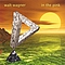Walt Wagner - In The Pink - Music Of Pink Floyd album