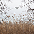 Paula Cole - Raven альбом