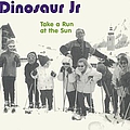 Dinosaur Jr. - Take a Run at the Sun album