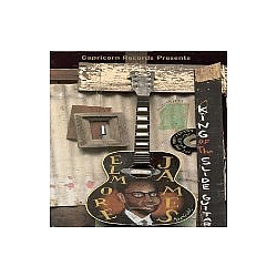 Elmore James - King of the Slide Guitar, Volume 1 album