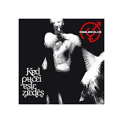 Dzelzs Vilks - Kad PÅ«cei Aste ZiedÄs album