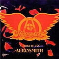 Fireball Ministry - Right in the Nuts: A Tribute to Aerosmith album