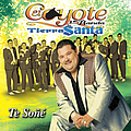 El Coyote Y Su Banda Tierra Santa - Te SoÃ±Ã© альбом