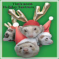 Kelly Osbourne - Tim&#039;s 2006 Holiday Tantrum album