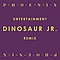 Dinosaur Jr. - Entertainment альбом