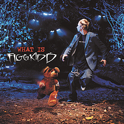Figgkidd - What is Figgkidd альбом