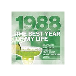Hannes Kröger - The Best Year Of My Life: 1988 album