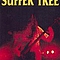 36 Crazyfists - Suffer Tree альбом