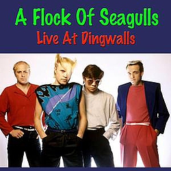 A Flock Of Seagulls - A Flock Of Seagulls Live At Dingwalls album