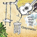 Greymatter - Small Steps in a Big Life альбом