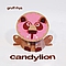 Gruff Rhys - Candylion album