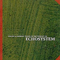 Hey - Echosystem album
