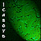 Icaboyd - self-titled album