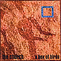 The Church - A Box of Birds album