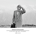 David Sylvian - A Victim of Stars 1982-2012 album