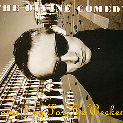 The Divine Comedy - Something For The Weekend альбом