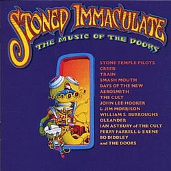 The Doors - Stoned Immaculate: The Music of The Doors album