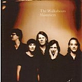 The Walkabouts - Shimmers album