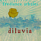Freelance Whales - Diluvia album
