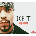 Ice-T - Gang Culture album