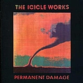 The Icicle Works - Permanent Damage album