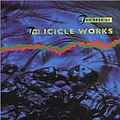 The Icicle Works - The Best Of The Icicle Works альбом