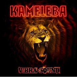 Kameleba - Vibra Sound album