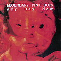 The Legendary Pink Dots - Any Day Now album