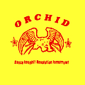Orchid - Dance Tonight! Revolution Tomorrow! альбом