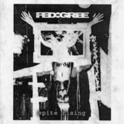 Pedigree - Spite Rising альбом