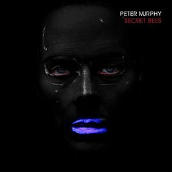 Peter Murphy - The Secret Bees of Ninth альбом